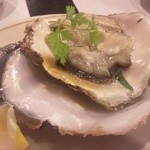 愛志蔵 - 岩ガキ