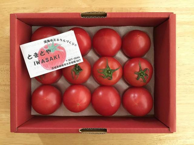 とまと。 とまとや IWASAKI - 小田林/その他 | 食べログ