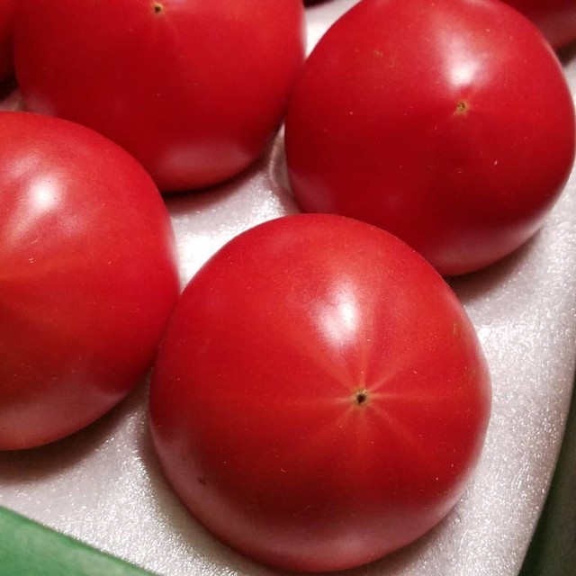 とまとや IWASAKI - 小田林/その他 | 食べログ