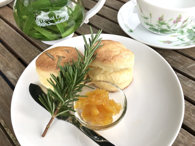 酒々井ハーブの丘ガーデンハウス 南酒々井 カフェ 食べログ