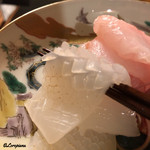御料理 寺沢 - 槍烏賊