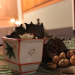 御料理 寺沢 - 海鼠酢は鬼の棍棒を連想させる突起