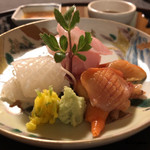 御料理 寺沢 - 槍烏賊､黒メバル､赤貝