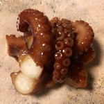 紫仙庵 - 蛸磯焼き