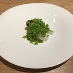 bb9 - 涙豆 野生のアスパラガス トマト ポルチーニ ヤングコーン 玉ねぎ かぶ