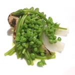 bb9 - 涙豆 野生のアスパラガス トマト ポルチーニ ヤングコーン 玉ねぎ かぶ