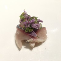 bb9 - 和歌山県産天然縞鰺 あさつき