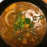 手打ちうどん処 伊賀 - カレーうどんアップ