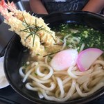 Sanukiudommatsuya - 天ぷらうどん800円+温玉100円