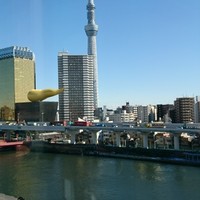 浅草むぎとろ 本店 - 