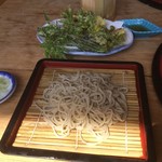 Choufuuan - そば定食の蕎麦と山菜天麩羅