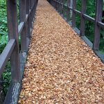 ウッドチップが足に優しい。