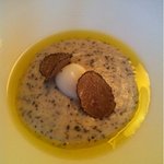 %E3%83%88%E3%83%AA%E3%83%A5%E3%83%95%E3%81%AE%E3%83%9D%E3%83%AC%E3%83%B3%E3%82%BF