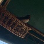 ブレッド＆サーカス - 