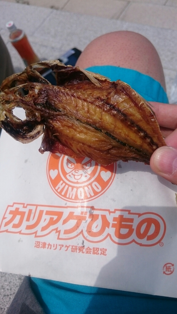 たんぱく大国 name=