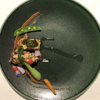 リストランテ ソットラルコ - 