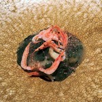 エクアトゥール - オマール海老、桜海老、アイナメのフリット