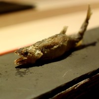 祇園 にしかわ - 