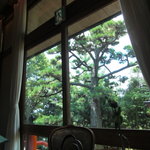 メインダイニングルーム 三笠 - ランチコース　2011/7