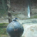 メインダイニングルーム 三笠 - ランチコース　2011/7