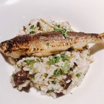 横浜馬車道 旬の肉料理イタリアン オステリア・アウストロ - 2018.5.  鮎と信州山菜のもち麦リゾット