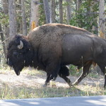 Three Bear Restaurant - 