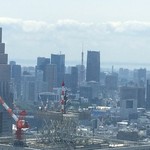 アリラン・ホットドッグ - 、『東京都庁』『第二本庁舎 北展望室』から東京都内の景色を眺めた。ビルの谷間から見える『東京タワー』〔港区〕を見ることが出来て大喜びしたものだ。