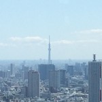 アリラン・ホットドッグ - 、『東京都庁』『第二本庁舎 北展望室』実は『東京タワー』が見えた同じ窓から『スカイツリー』〔墨田区〕も見えていた。