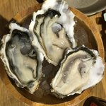 浜焼きセンター カキ小屋 - 