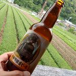 プラザロコ - 大井川鐵道ビール；キリッとホップの利いたピルスナータイプ. 美味しッ！(o^-')b @2018/05/24