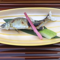 眺河　先斗町～華～ - 