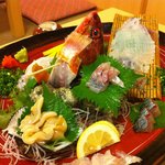 中洲鷹勝 - 極上刺し盛り