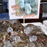 佐渡の海鮮市場 かもこ観光センター お食事処 - 店前に涼しげにディスプレイされる岩牡蠣たち。
