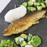 リストランテ アクアパッツァ - 和歌山県産・鮎のコンフィ　きゅうりのソース　シェリービネガーの泡を添えて