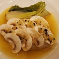 The Arts Fusion - 魚