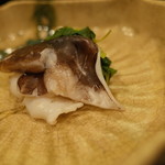 安久 - 七尾のトリガイ