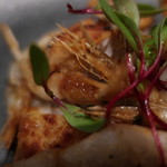 ラ・ランコントル - 黒姫地鶏のササミとそその背油（肝臓）のリゾット　富山産白海老のフリット添え　海老ソース　アップ。