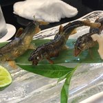 おおさか料理  浅井 - 