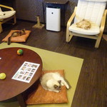 猫喫茶 空陸家 - 