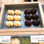 レストラン ヴィーニュ - 