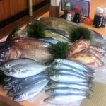 Isshinsuisan - クエ・カツオ・タイ・アジ・イワシ・シマアジ･･･　おいしい魚、揃ってます！
