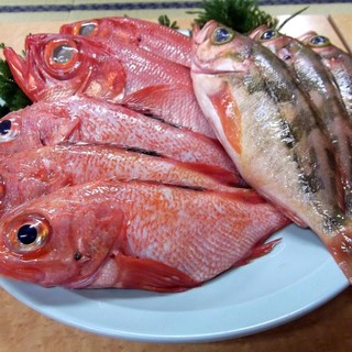 一心水産 - 料理写真:魚は鮮度が命！　お任せください！