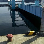 魚山人 - 仮屋漁港で迎えに来るのを待ちます。