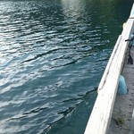 魚山人 - もうすぐ着きます。
      県道から徒歩か船じゃないと行けない場所です。