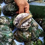 魚山人 - 凄く元気でグニョグニョしてます(^-^)/