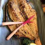 居食屋 わいるどふぁーむ  - 