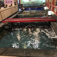 いけす鶴八 新栄店 - 