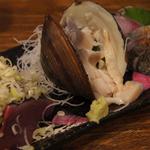 かつお、生ホッキ、炙りシメサバ