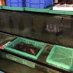 マルトモ水産 鮮魚市場 - 