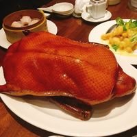 中国料理 青冥 堂島本店 - 
